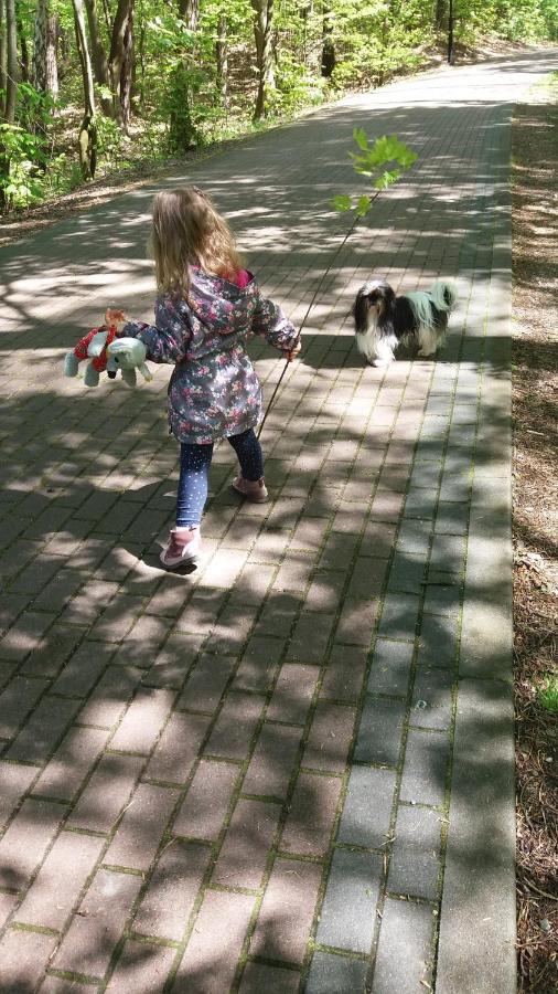 Limba Apartman Jastarnia Kültér fotó