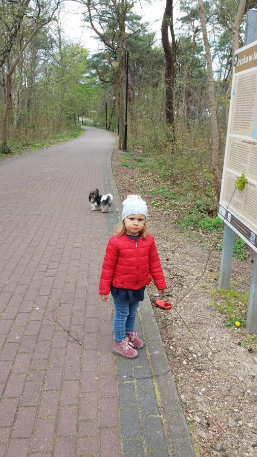 Limba Apartman Jastarnia Kültér fotó